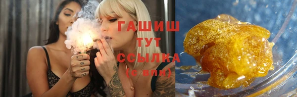 прущие грибы Балахна