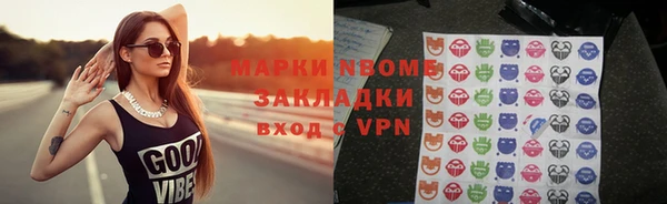 прущие грибы Балахна