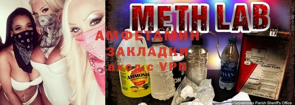 прущие грибы Балахна