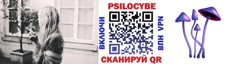 Галлюциногенные грибы Psilocybine cubensis  Сосновка 